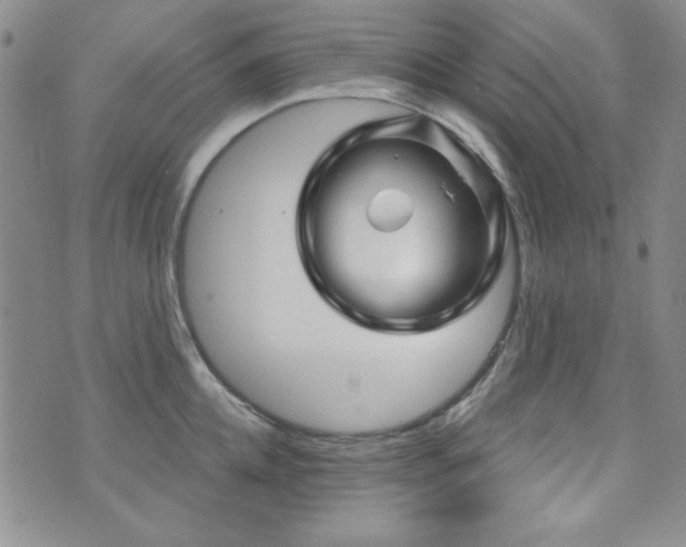 X0000073740952200608031401
