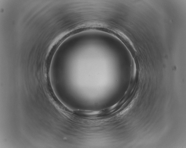 X0000073740981200608031400