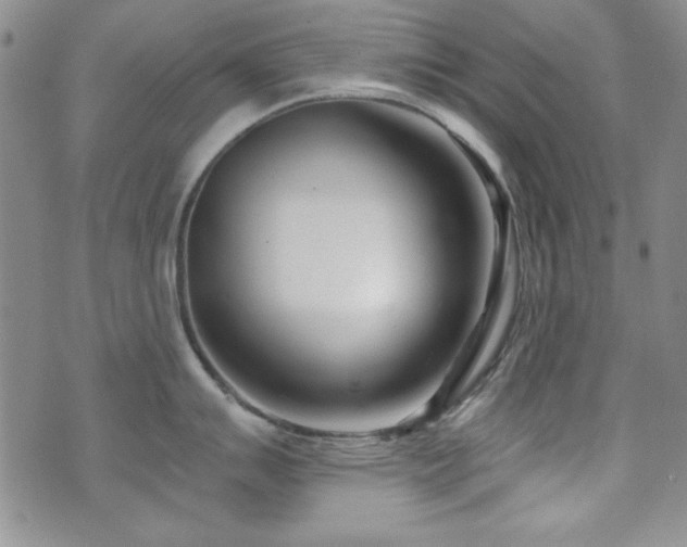 X0000073741007200608031359