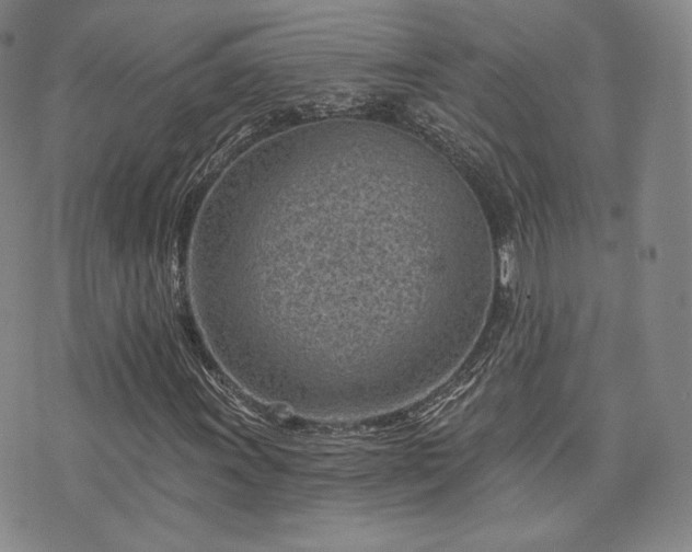 X0000073741011200608031358