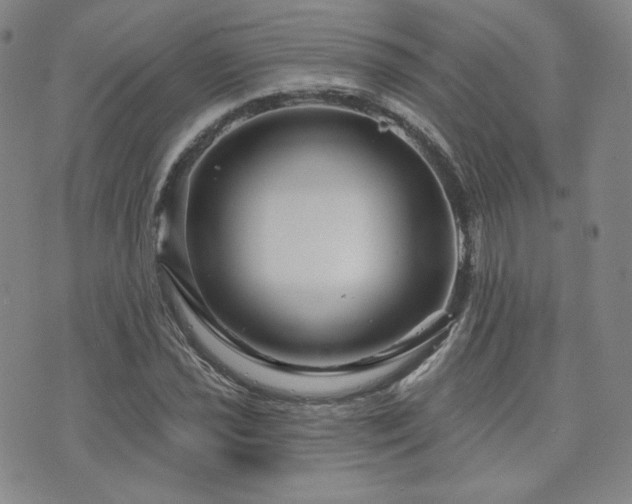 X0000073741021200608031359