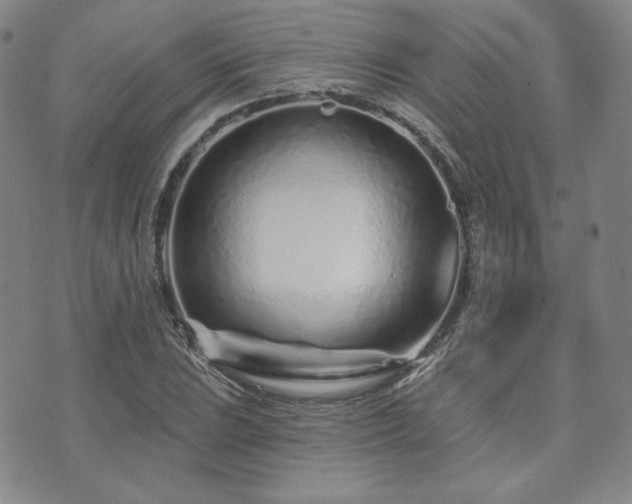 X0000073741023200608031359