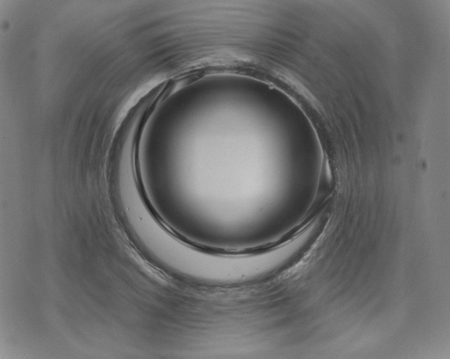 X0000073741026200608031359