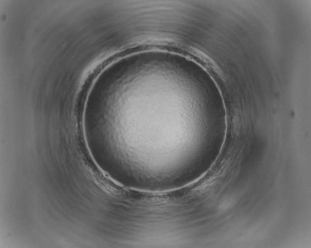 X0000073741027200608031359