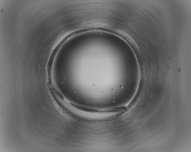 X0000073741031200608031359