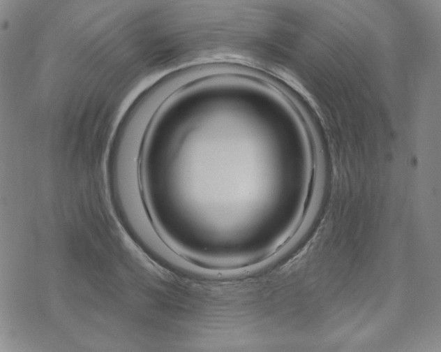 X0000073741032200608031359