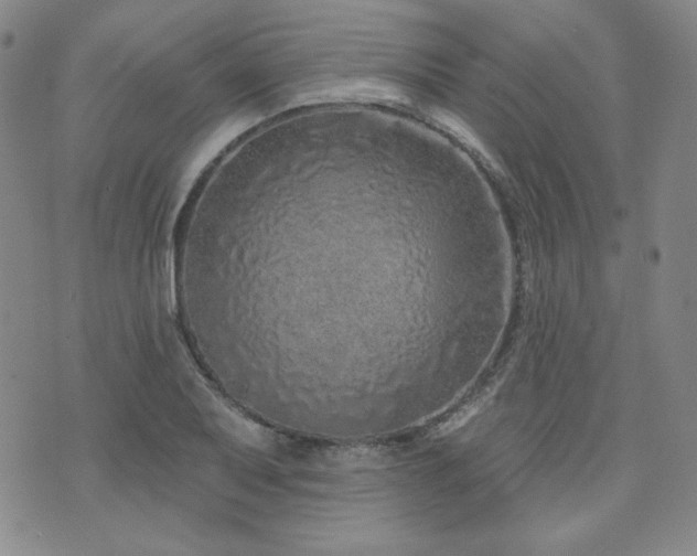 X0000073741079200608031358