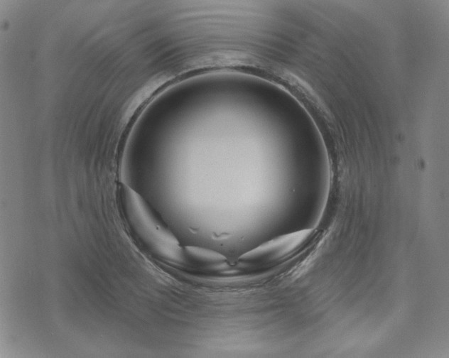 X0000073741081200608031358