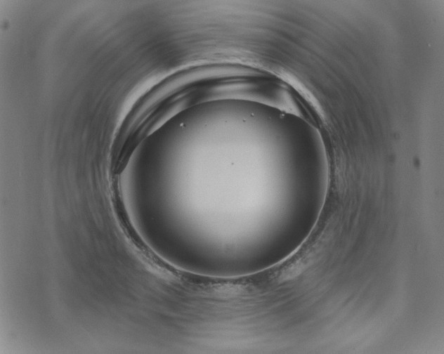X0000073741085200608031358