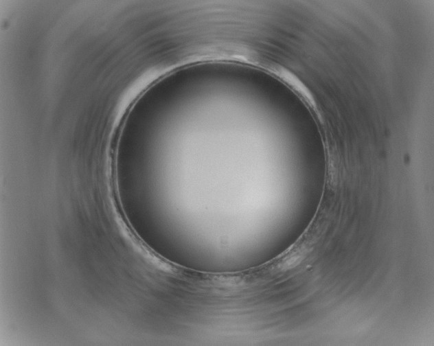 X0000073741096200608031358