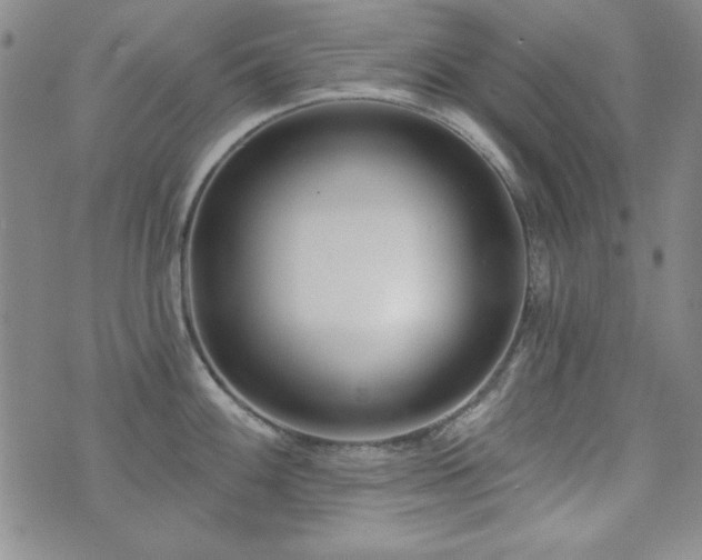 X0000073741100200608031358