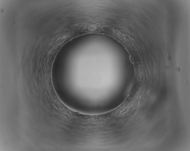 X0000073741105200608031357