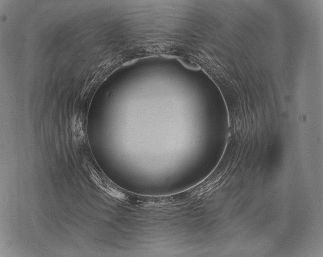 X0000073741106200608031357