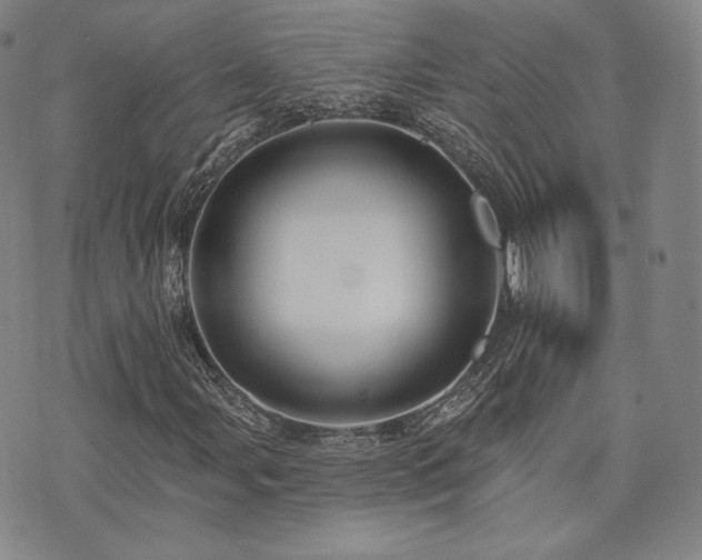 X0000073741107200608031357