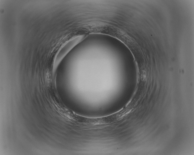 X0000073741108200608031357
