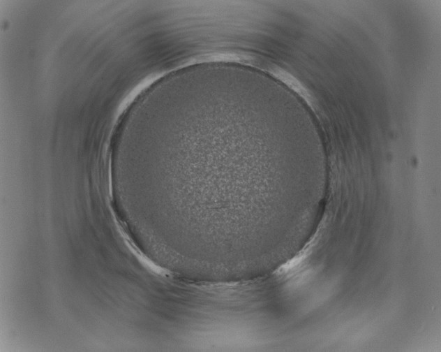 X0000073741127200608031357
