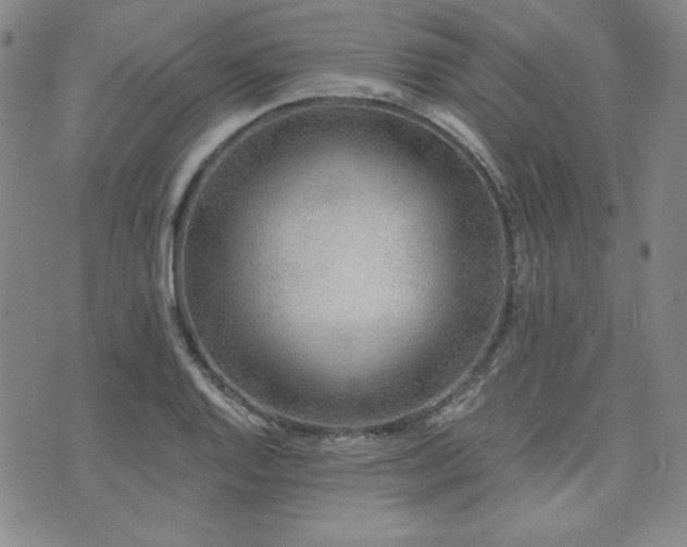 X0000073741128200608031357