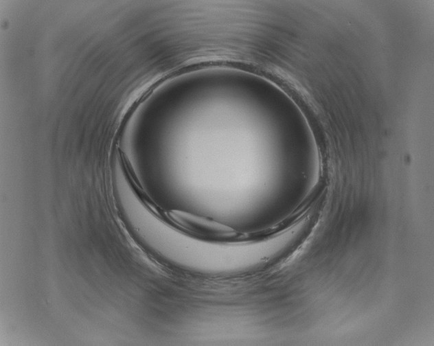 X0000073741129200608031357
