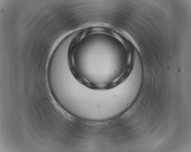 X0000073741132200608031357