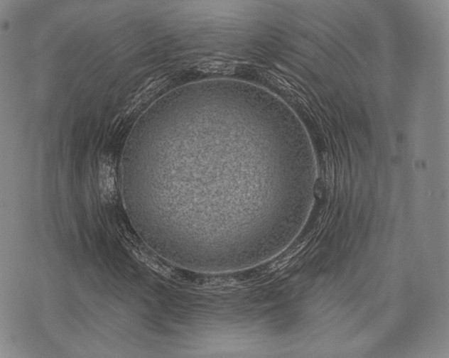 X0000073741154200608031357