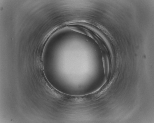 X0000073741177200608031356