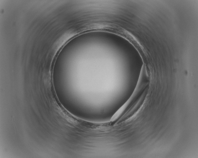 X0000073741178200608031356