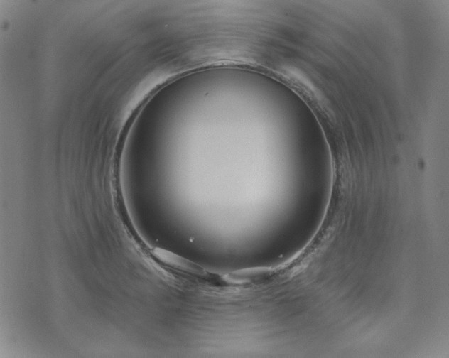 X0000073741182200608031356