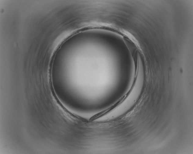 X0000073741183200608031356