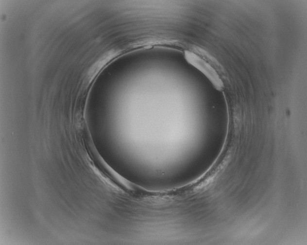 X0000073741185200608031356