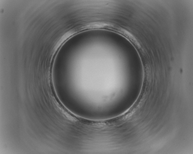 X0000073741186200608031356
