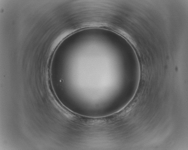 X0000073741187200608031356