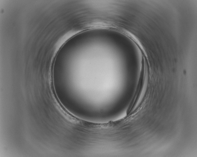 X0000073741195200608031356