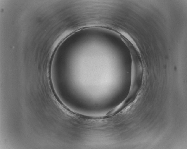 X0000073741197200608031356