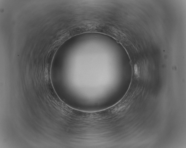 X0000073741203200608031355