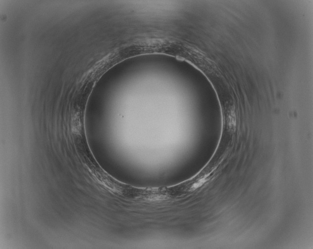 X0000073741204200608031355