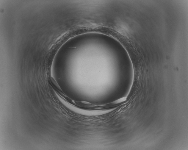 X0000073741205200608031355