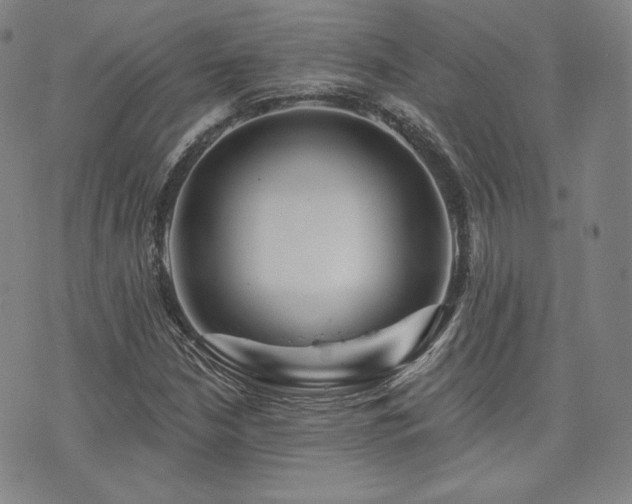 X0000073741210200608031355