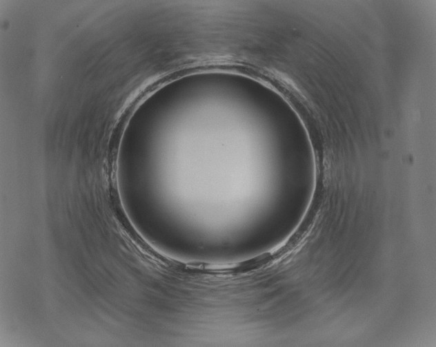 X0000073741212200608031356