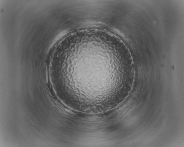 X0000073741219200608031356