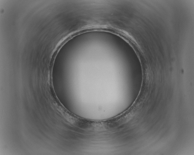 X0000073741220200608031356