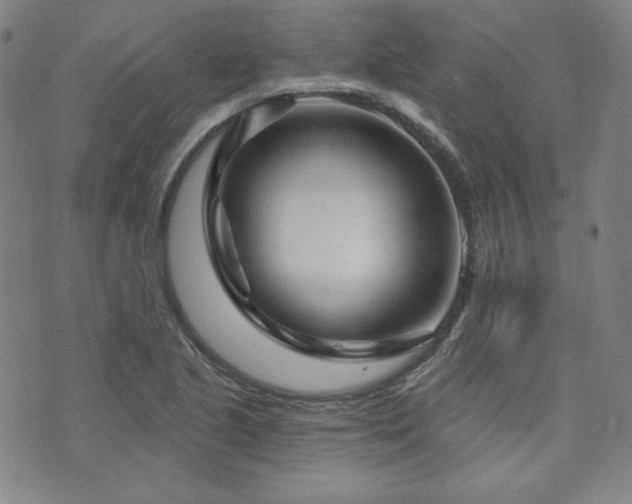 X0000073741221200608031356