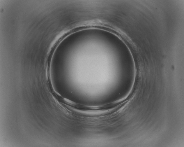 X0000073741224200608031356