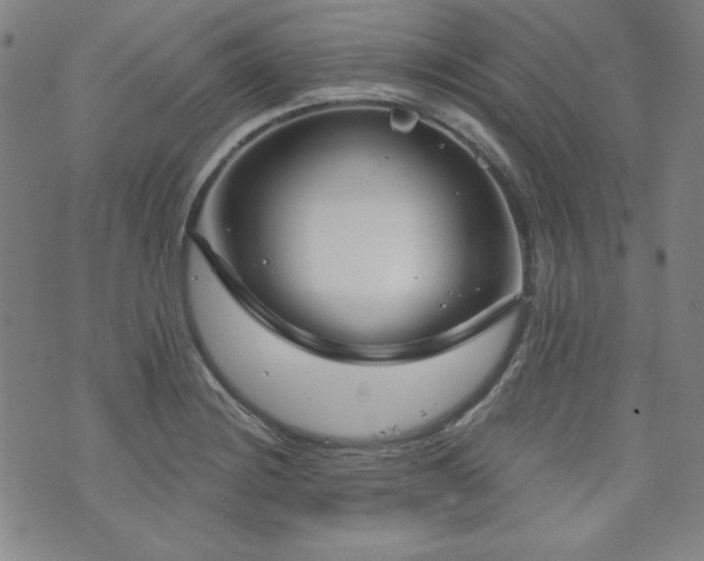 X0000073741228200608031356