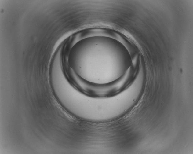 X0000073741230200608031356