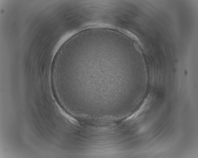 X0000073741231200608031356