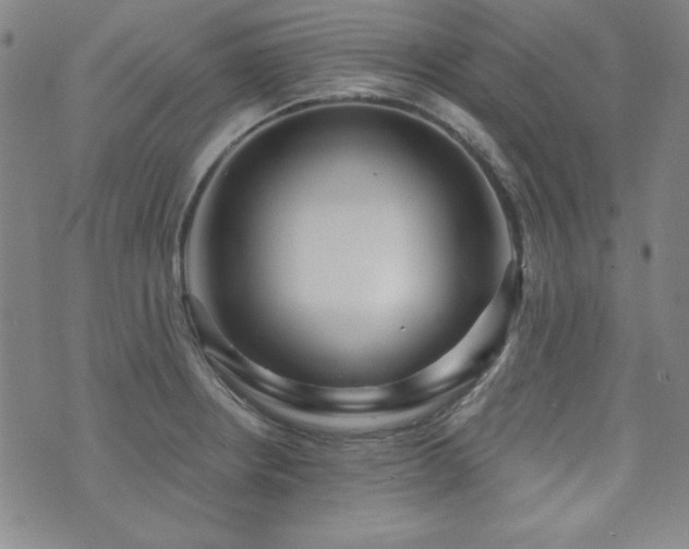 X0000073741234200608031356