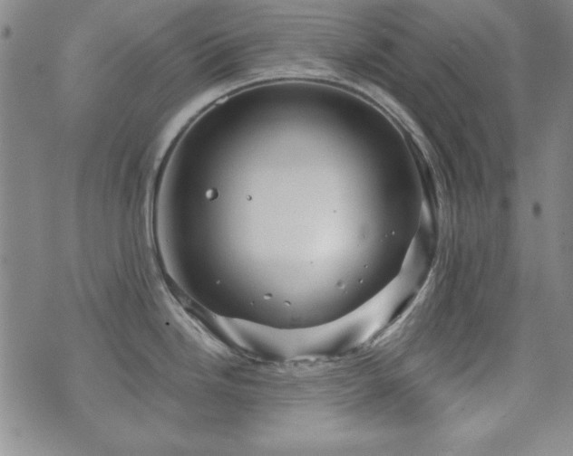 X0000073741246200608031356