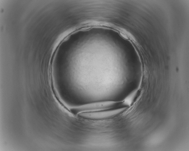 X0000073741247200608031356