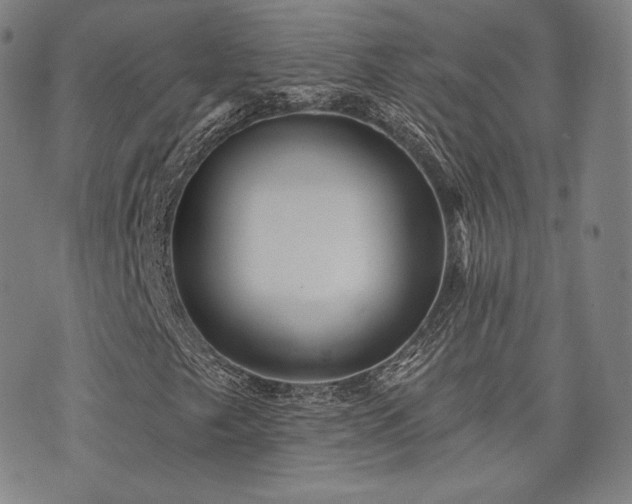 X0000073741249200608031355