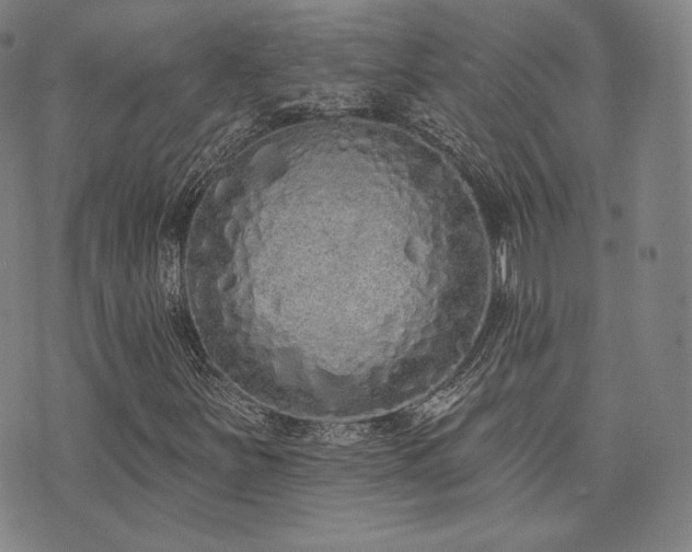 X0000073741251200608031355